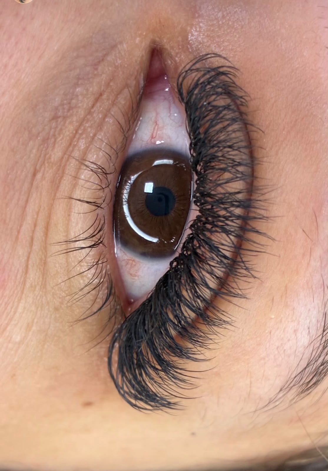 Resultado de Lash Lifting